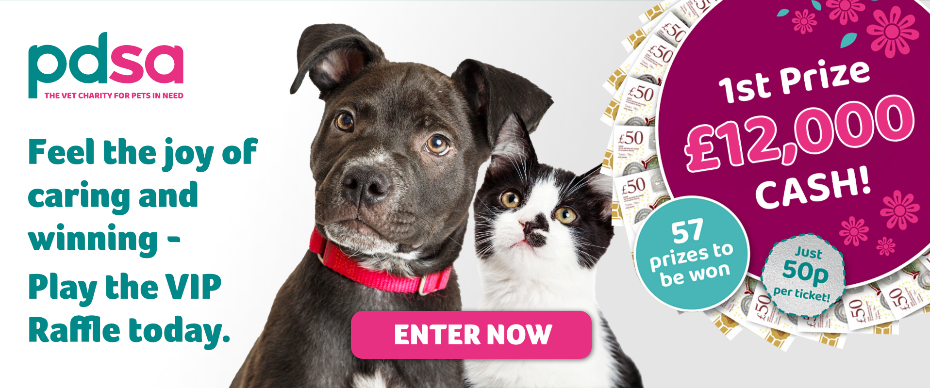 PDSA Banner VIP