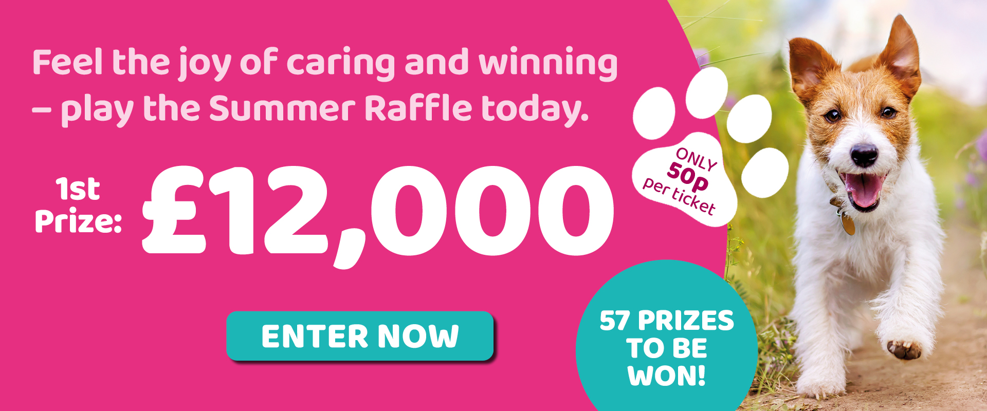 PDSA Banner VIP